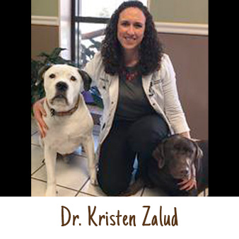 Dr. Kristen Zalud